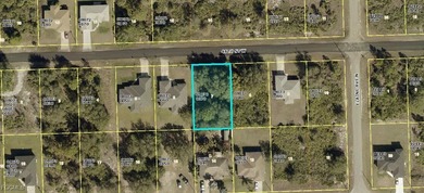 Lehigh Acres Area Lot For Sale in Lehigh Acres Florida