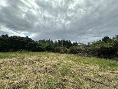 304 Humboldt Rd offers a rare opportunity to build your dream - photo 11