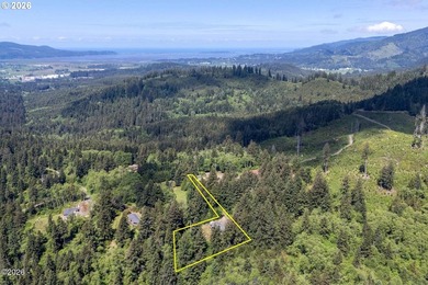 One of a kind, custom craftsman home! Private and secluded - photo 3