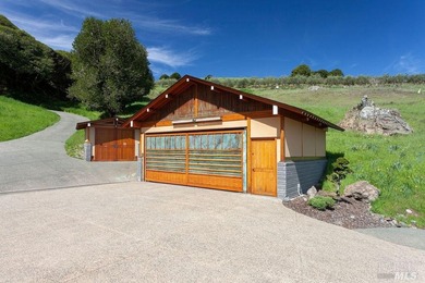 From the sun-drenched slope of Black Mountain in coveted Nicasio - photo 14