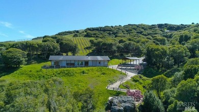From the sun-drenched slope of Black Mountain in coveted Nicasio - photo 15