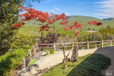 From the sun-drenched slope of Black Mountain in coveted Nicasio - photo 16