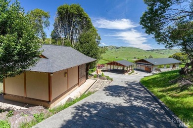 From the sun-drenched slope of Black Mountain in coveted Nicasio - photo 17