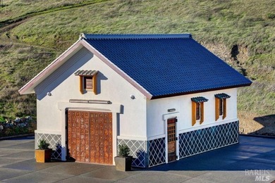 From the sun-drenched slope of Black Mountain in coveted Nicasio - photo 35