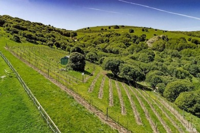 From the sun-drenched slope of Black Mountain in coveted Nicasio - photo 39