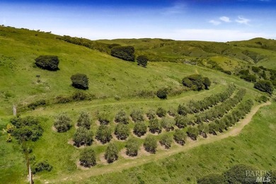 From the sun-drenched slope of Black Mountain in coveted Nicasio - photo 40