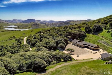 From the sun-drenched slope of Black Mountain in coveted Nicasio - photo 42