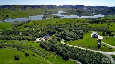 From the sun-drenched slope of Black Mountain in coveted Nicasio - photo 43