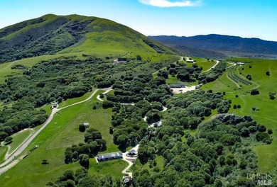 From the sun-drenched slope of Black Mountain in coveted Nicasio - photo 44
