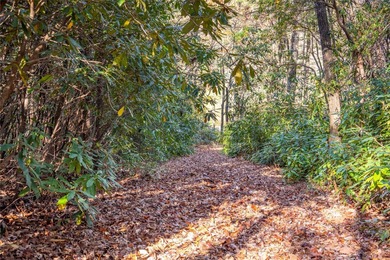 Lake Toxaway Acreage For Sale in Lake Toxaway North Carolina