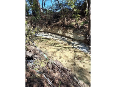 Lake Acreage For Sale in Bynum, Texas