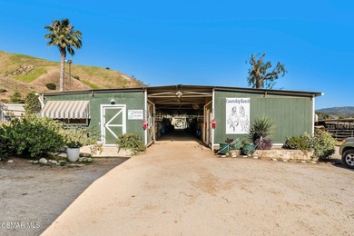 Courtship Ranch | Legacy Equestrian Facility In Shadow Hills / - photo 6