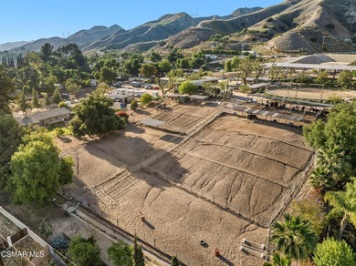 Courtship Ranch | Legacy Equestrian Facility In Shadow Hills / - photo 10