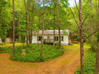 Long Lake - Hamilton County Home Sale Pending in Long Lake New York