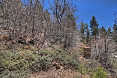 33653 Green Valley Ln - photo 23