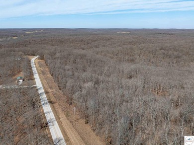 If you're looking for a wooded lot to build your dream home - or - photo 2
