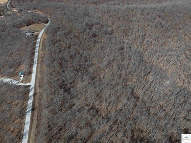 If you're looking for a wooded lot to build your dream home - or - photo 10