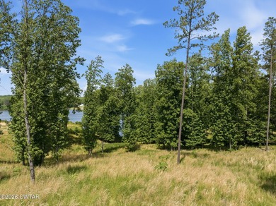 Large waterfront lot on Lake Halford, 3+ acres, with no HOA or - photo 8