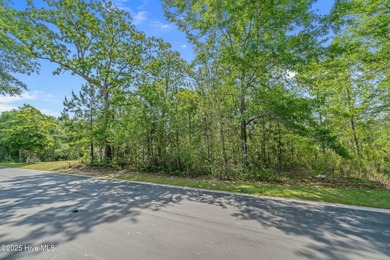 (private lake, pond, coastal) Lot For Sale in Shallotte North Carolina