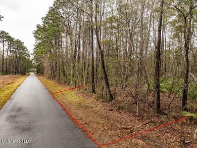 NICE Lot located in OCEAN SPRINGS TO BUILD YOUR HOME. This 1/4 - photo 11