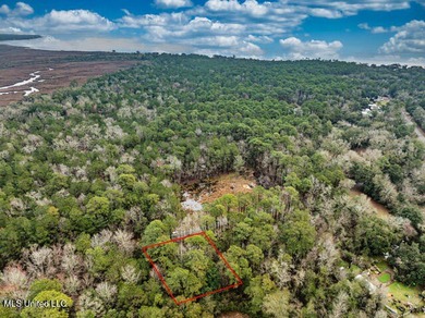 NICE Lot located in OCEAN SPRINGS TO BUILD YOUR HOME. This 1/4 - photo 13