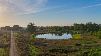 +/-86.8 acres located on Stribling Road Extension and Catlett - photo 13