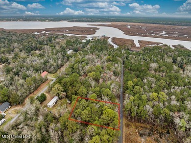 NICE Lot located in OCEAN SPRINGS TO BUILD YOUR HOME. This 1/4 - photo 14