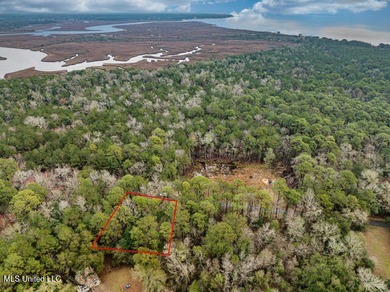 NICE Lot located in OCEAN SPRINGS TO BUILD YOUR HOME. This 1/4 - photo 15