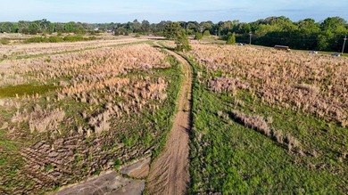 +/-86.8 acres located on Stribling Road Extension and Catlett - photo 15