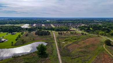 +/-86.8 acres located on Stribling Road Extension and Catlett - photo 19