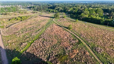 +/-86.8 acres located on Stribling Road Extension and Catlett - photo 20