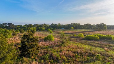 +/-86.8 acres located on Stribling Road Extension and Catlett - photo 21