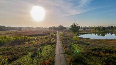 +/-86.8 acres located on Stribling Road Extension and Catlett - photo 22