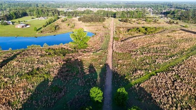 +/-86.8 acres located on Stribling Road Extension and Catlett - photo 23