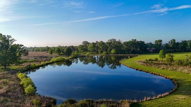 +/-86.8 acres located on Stribling Road Extension and Catlett - photo 24