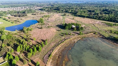 +/-86.8 acres located on Stribling Road Extension and Catlett - photo 32