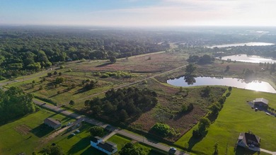 +/-86.8 acres located on Stribling Road Extension and Catlett - photo 37