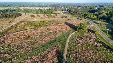 +/-86.8 acres located on Stribling Road Extension and Catlett - photo 39