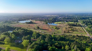 +/-86.8 acres located on Stribling Road Extension and Catlett - photo 42
