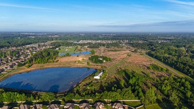 +/-86.8 acres located on Stribling Road Extension and Catlett - photo 45