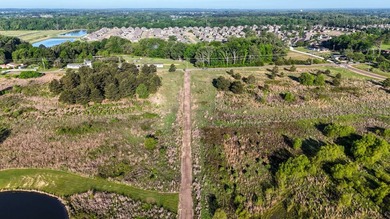 +/-86.8 acres located on Stribling Road Extension and Catlett - photo 48