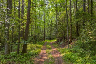 Additional listing photo 2