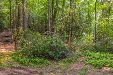 Additional listing photo 3
