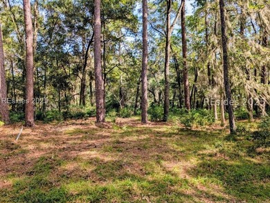 Embrace the tranquil charm of Daufuskie Island w/ this bucolic - photo 1
