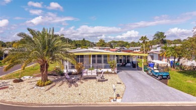 Lake Home For Sale in Tavares, Florida