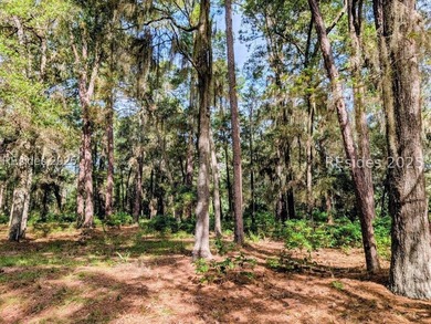 Embrace the tranquil charm of Daufuskie Island w/ this bucolic - photo 2
