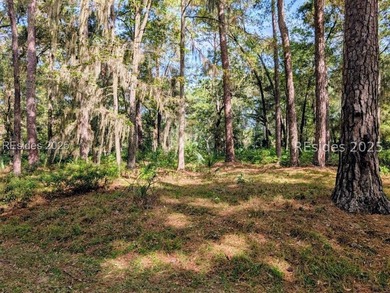 Embrace the tranquil charm of Daufuskie Island w/ this bucolic - photo 3