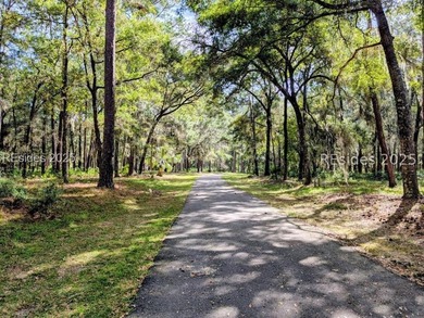 Embrace the tranquil charm of Daufuskie Island w/ this bucolic - photo 4