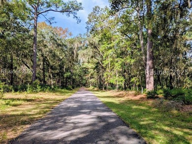 Embrace the tranquil charm of Daufuskie Island w/ this bucolic - photo 5