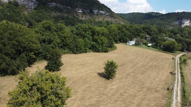 2+ acres on the Beautiful White River, you have a view of - photo 9
